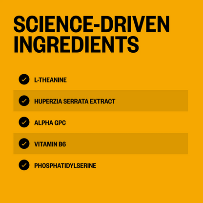 ALPHA BRAIN®
